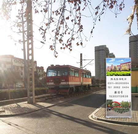 美麗校園 校園環境